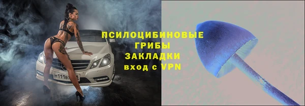 mdpv Бугульма